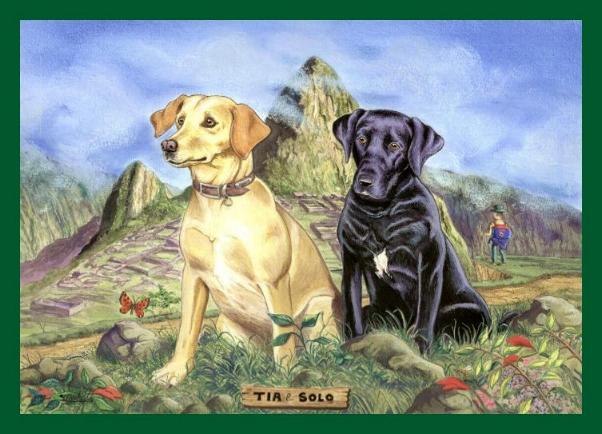 WELCOME to Marko's website - please click here to enter site.